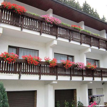 Pension Zum Ritter Katzhutte Bagian luar foto