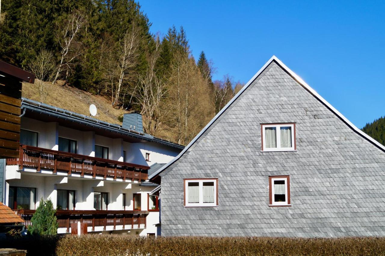 Pension Zum Ritter Katzhutte Bagian luar foto