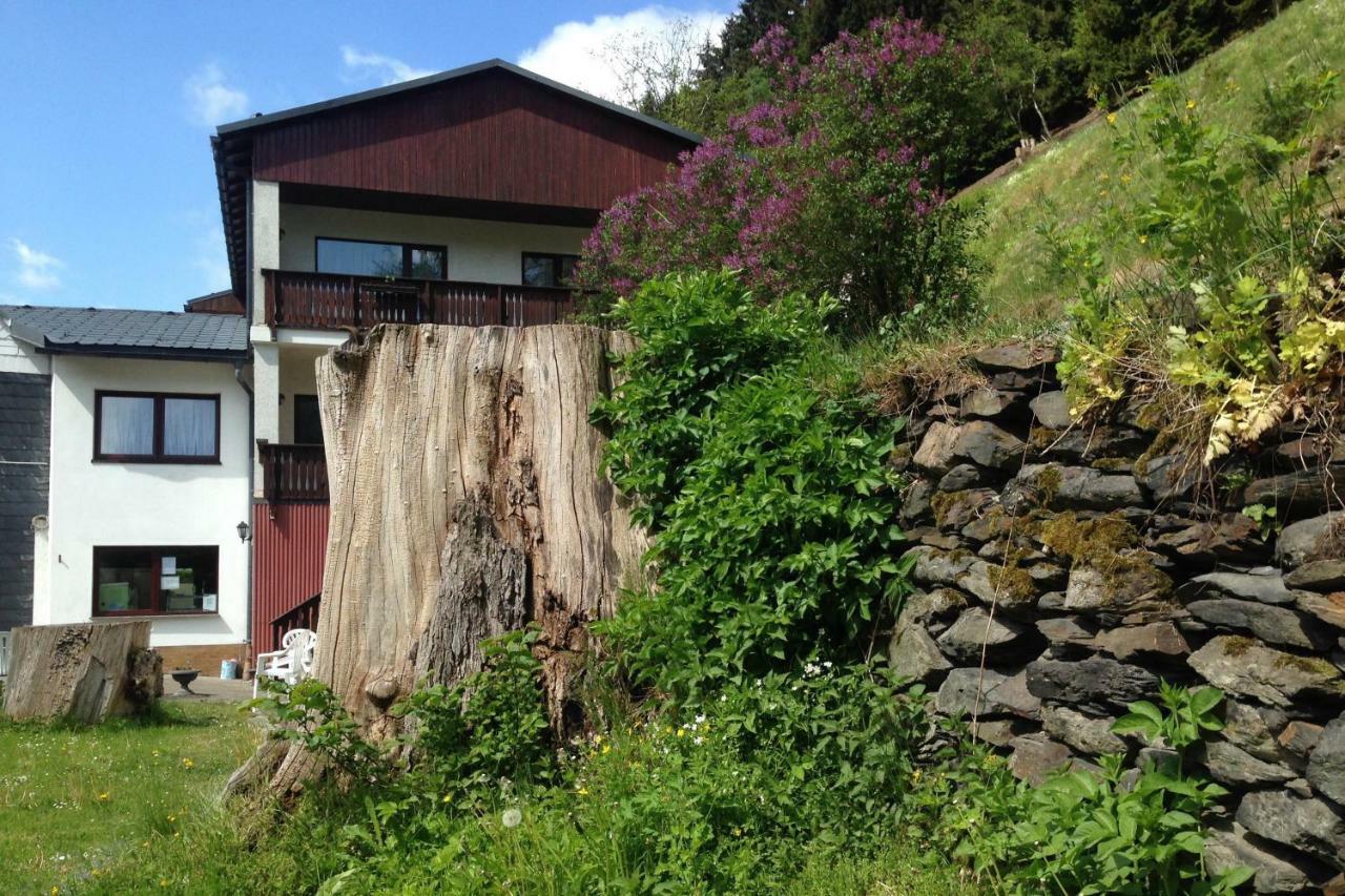 Pension Zum Ritter Katzhutte Bagian luar foto